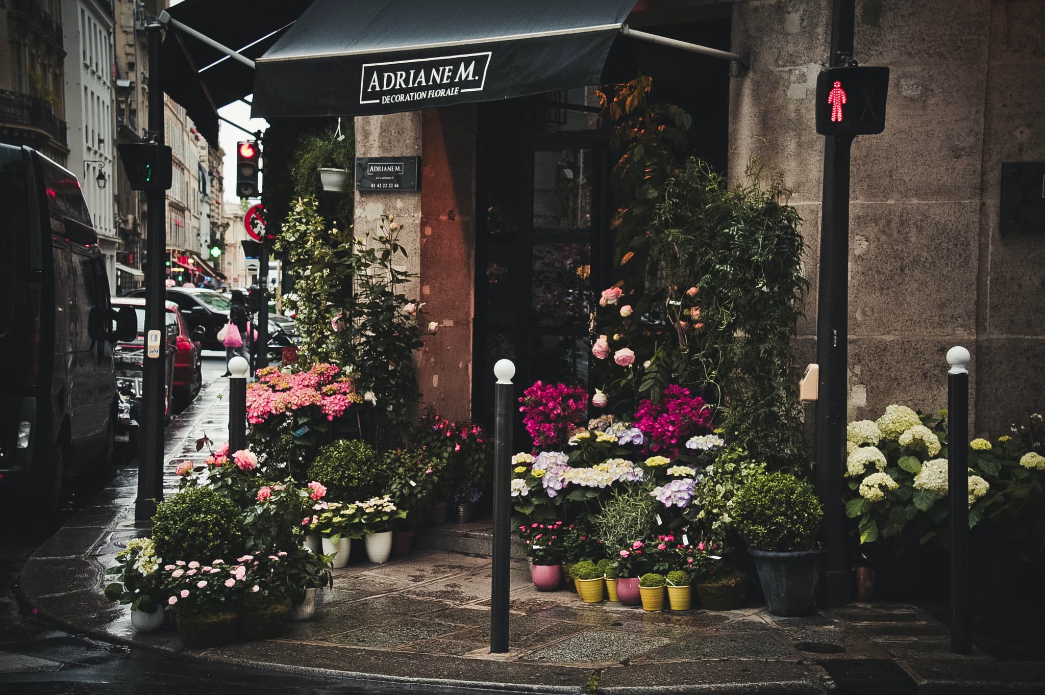 headerImage.webp